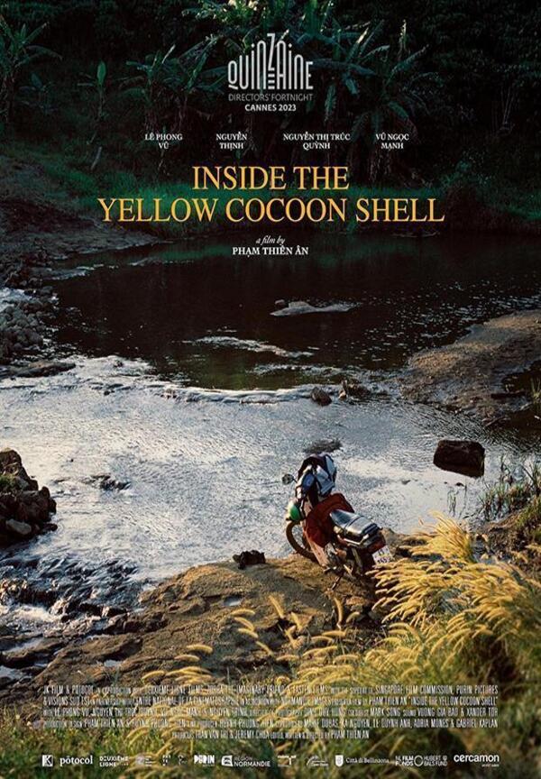 inside_the_yellow_cocoon_shell-756247491-large